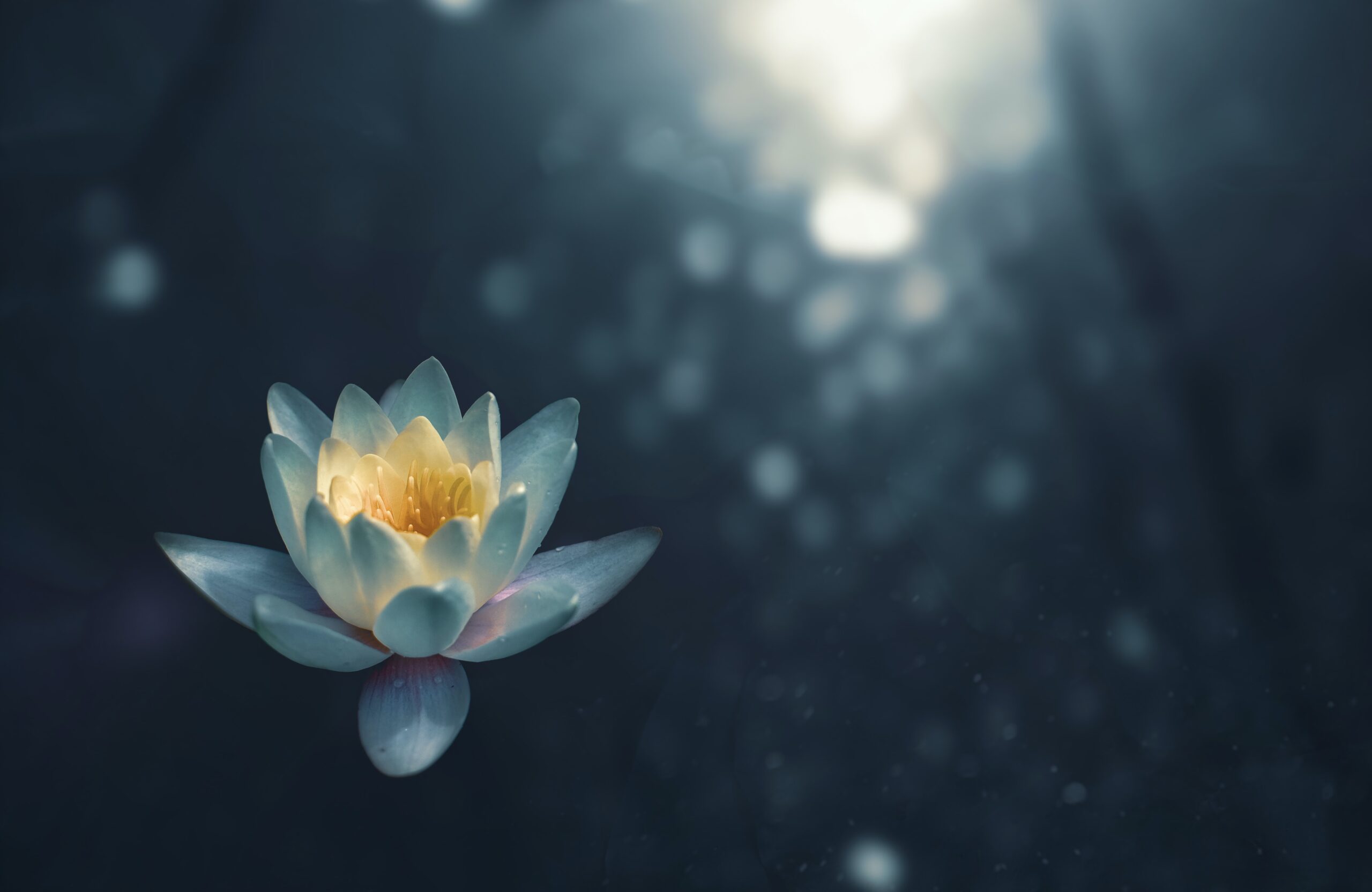Meditation Zoltan Tasi VHnVtLK8rCc Unsplash Scaled
