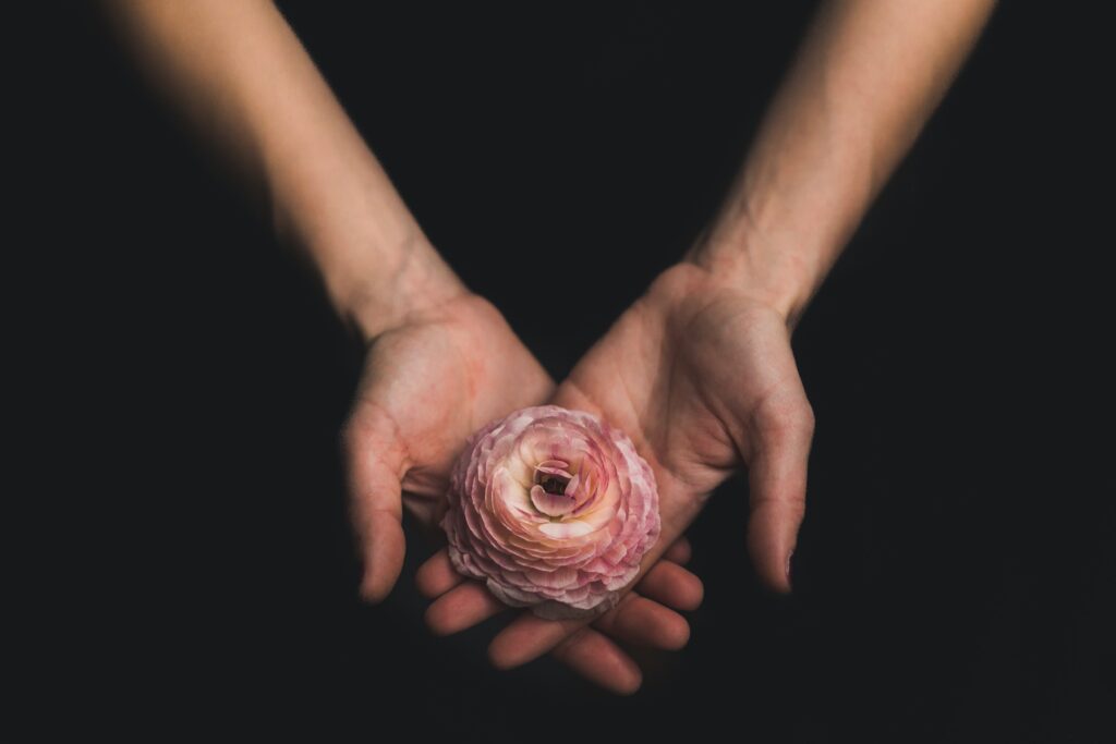 Matthew Henry P PpCccUZiU Unsplash 2 1024x683