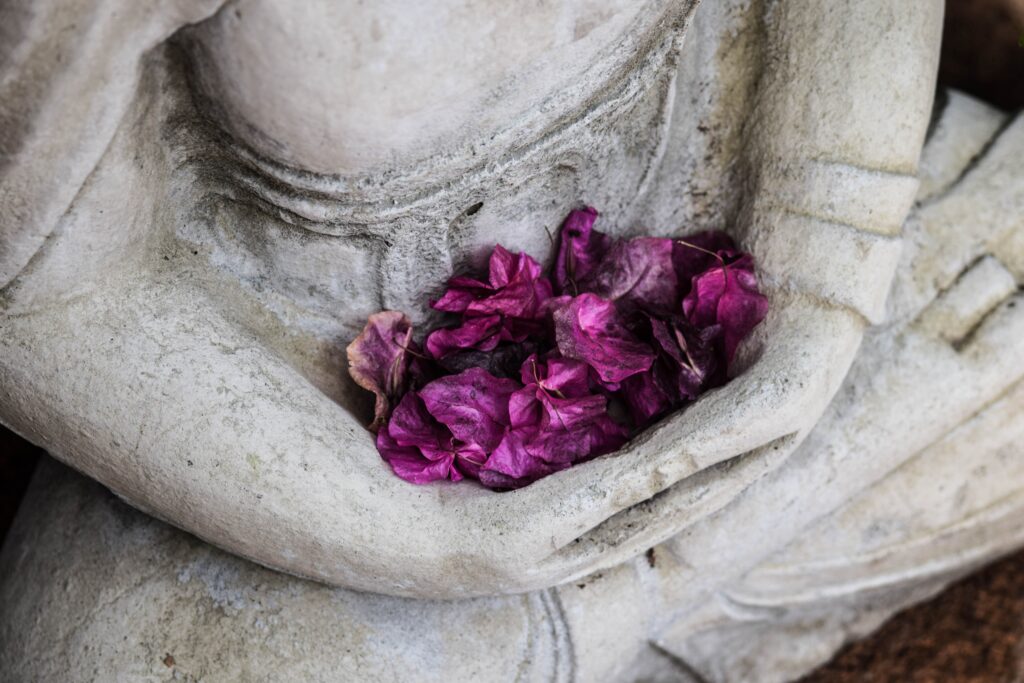 Chris Ensey 16QrjudiZnE Unsplash 1024x683
